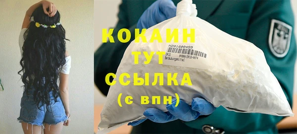 сатива Горняк