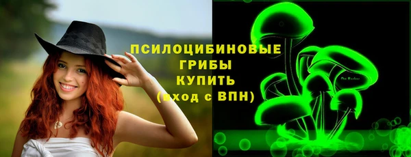 дурь Вяземский