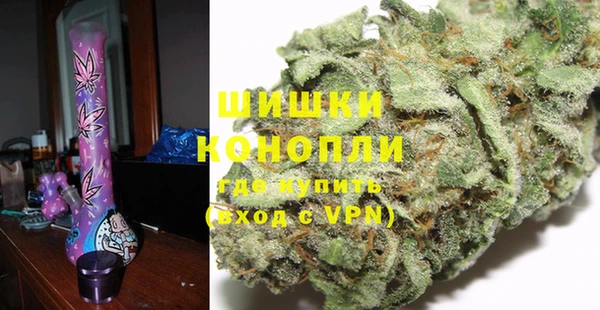 сатива Горняк