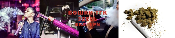 мдпв Горно-Алтайск