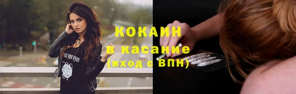 сатива Горняк