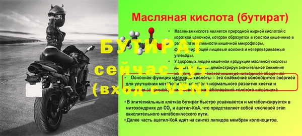сатива Горняк