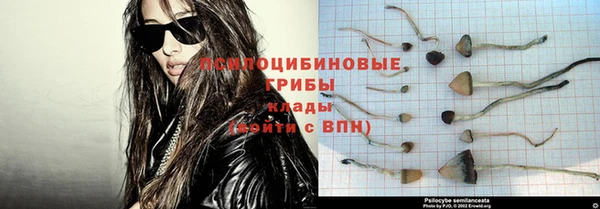 амф Верея